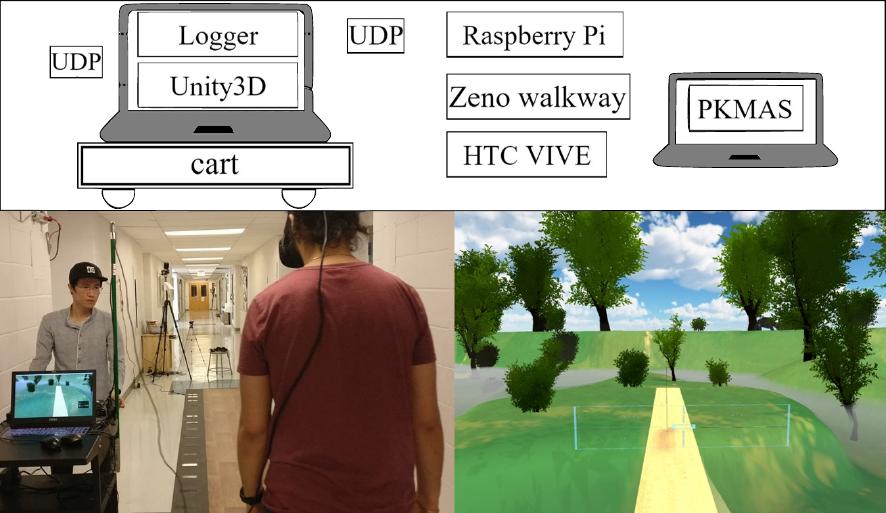 Gait adaptations during overground walking and multidirectional oscillations of the visual field in a virtual reality headset