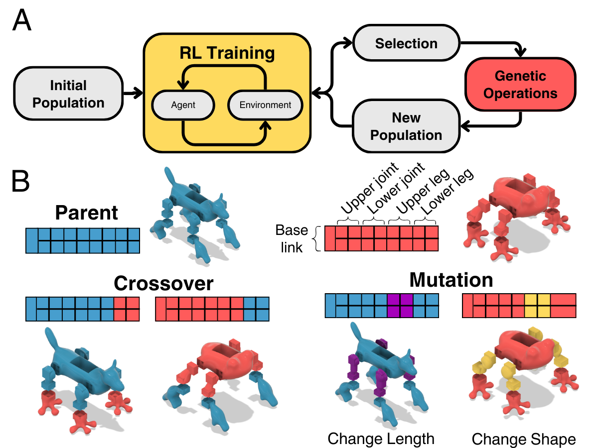 Text2Robot evolutionary co-optimization loop