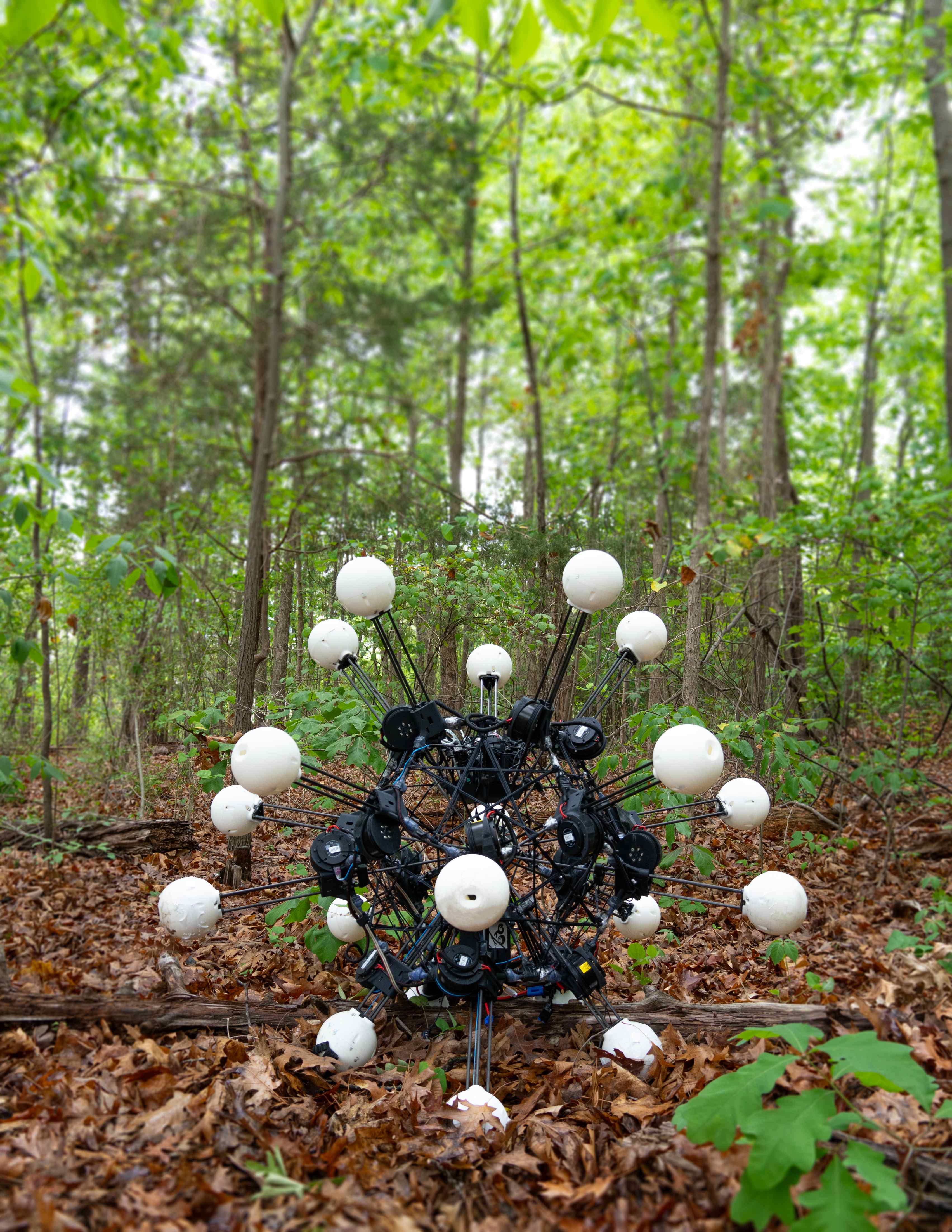 Argus robot in forest