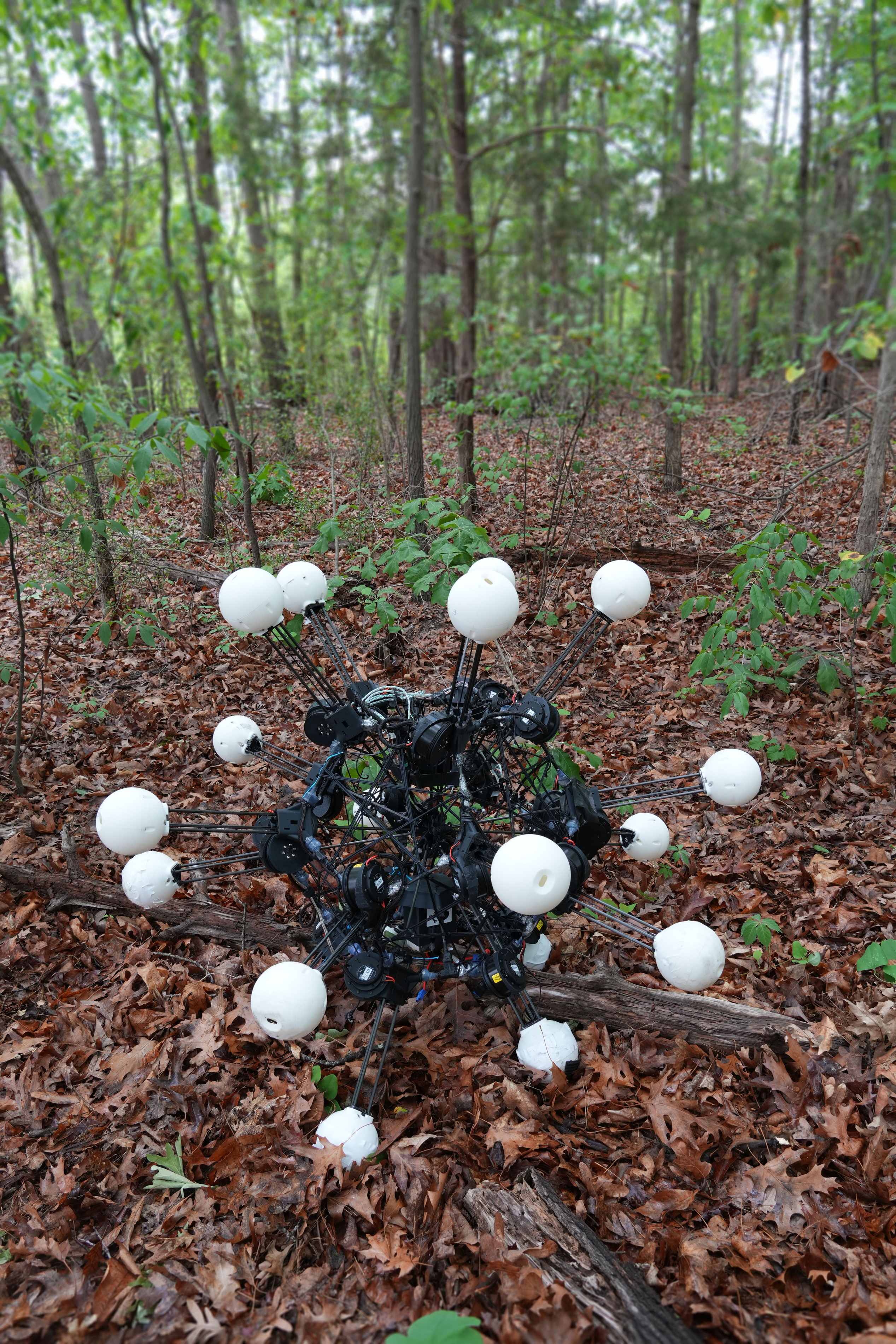 Argus robot in forest