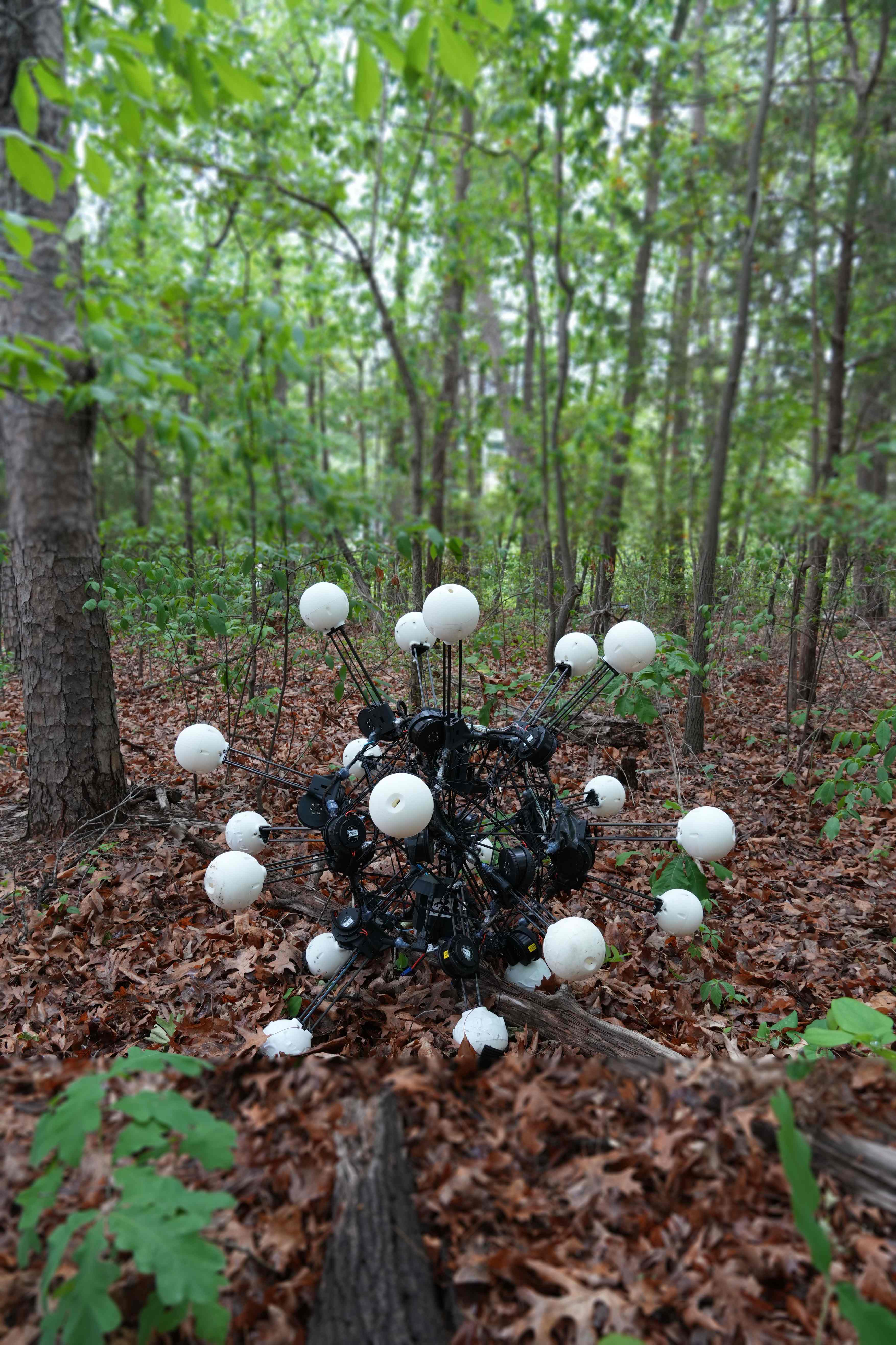 Argus robot on leaf-covered ground