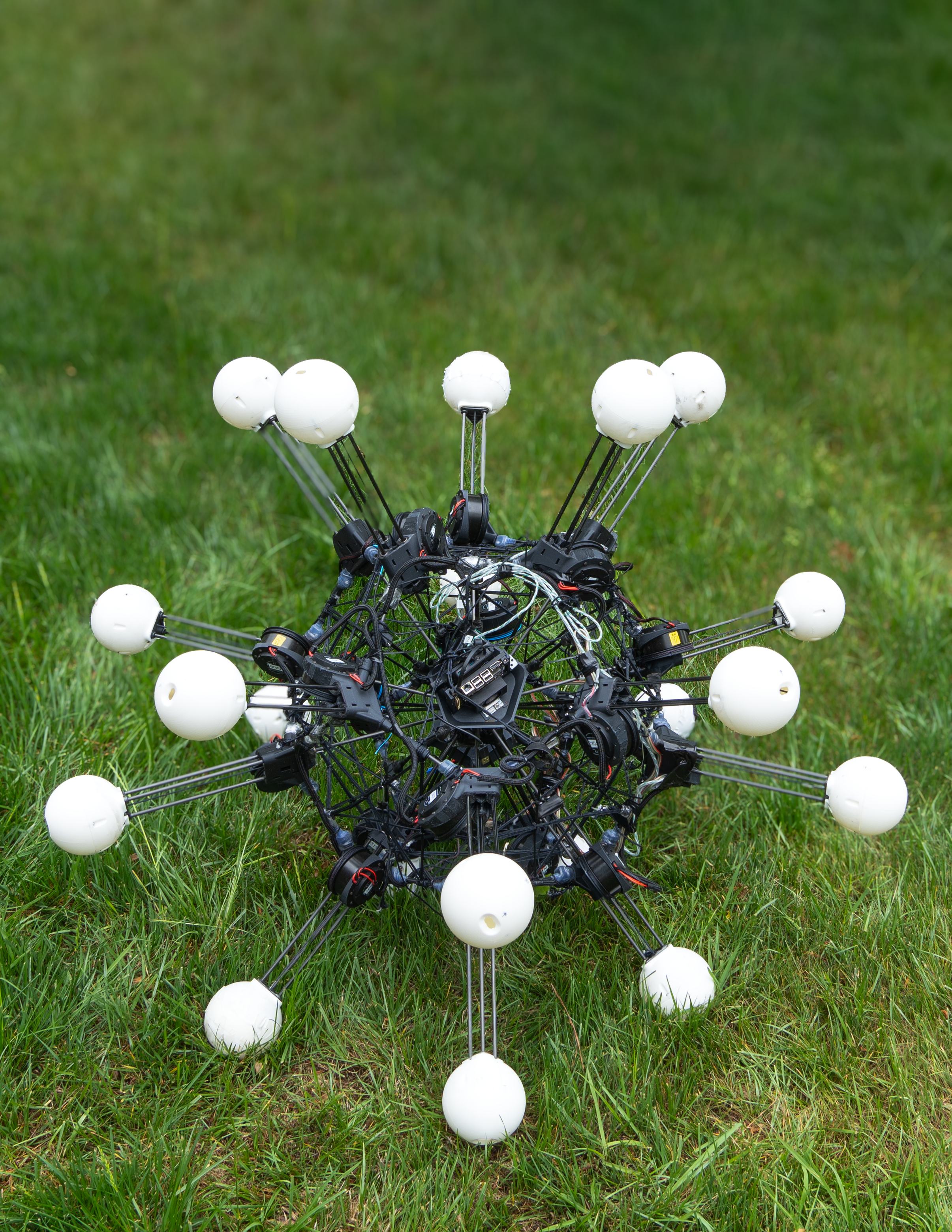 Argus robot on lawn