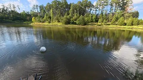 MARBLE water-surface propulsion