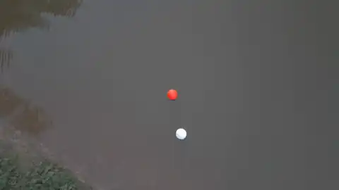 MARBLE pushing a floating buoy with the shell