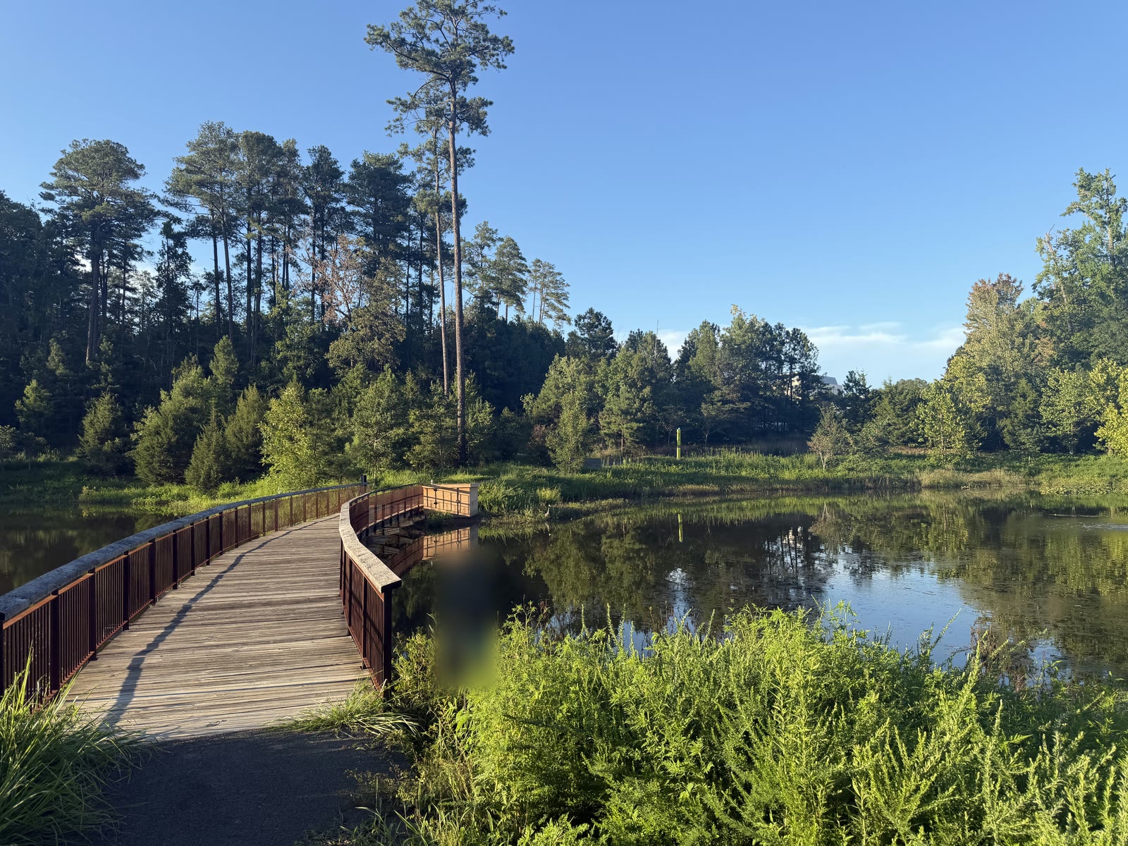 Pond test site: boardwalk