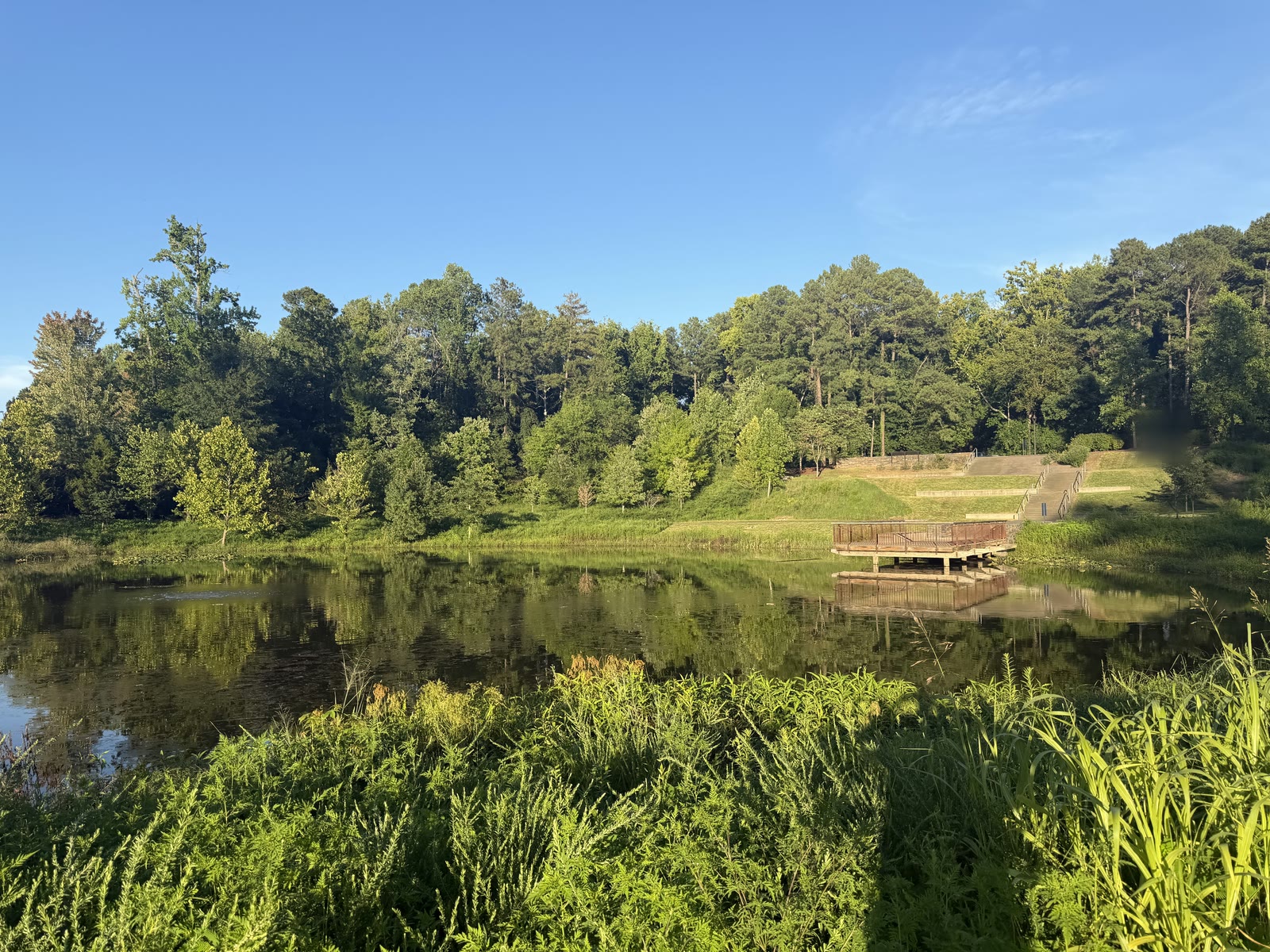 Pond test site: viewing platform