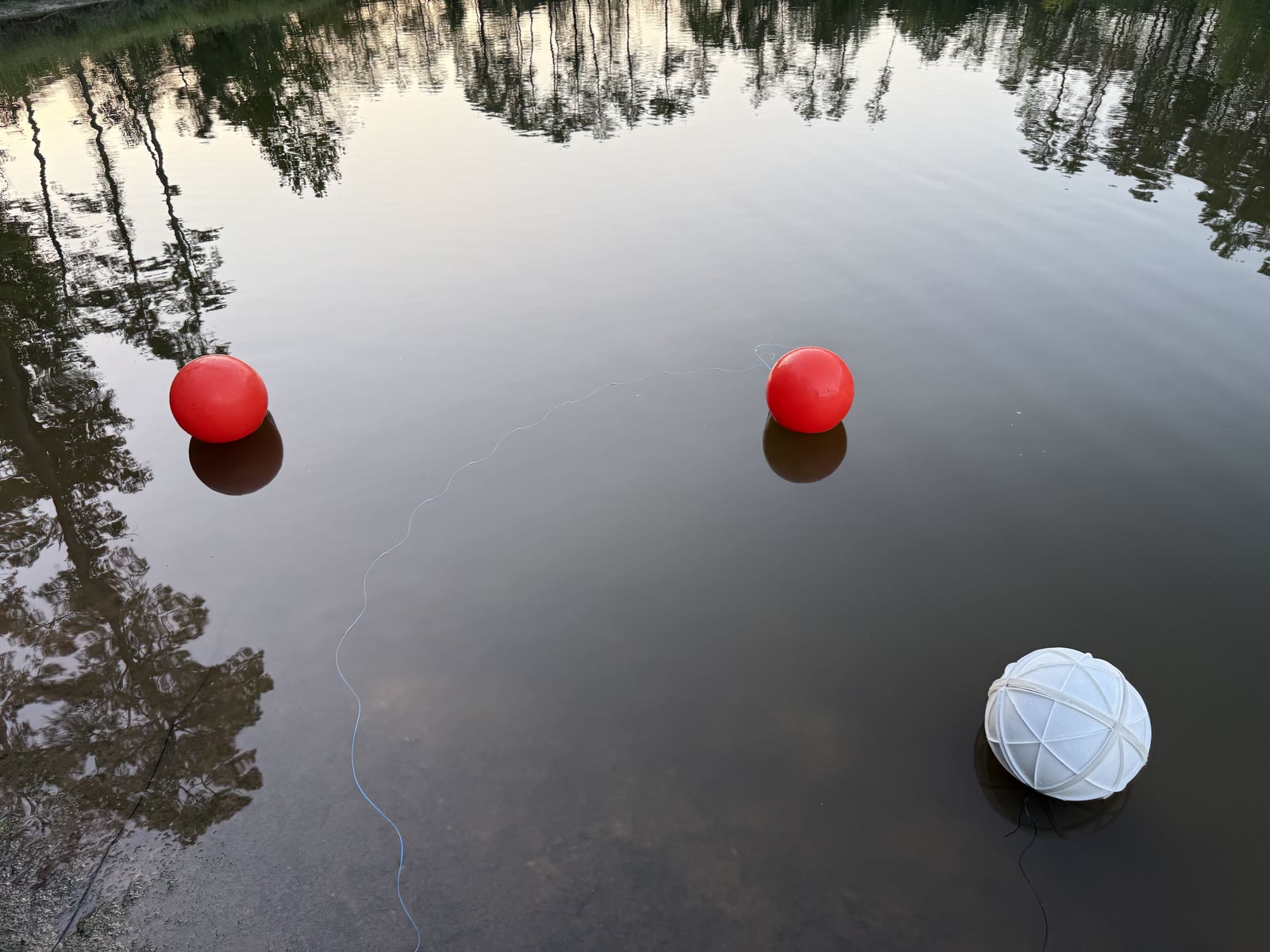 MARBLE interacting with a buoy