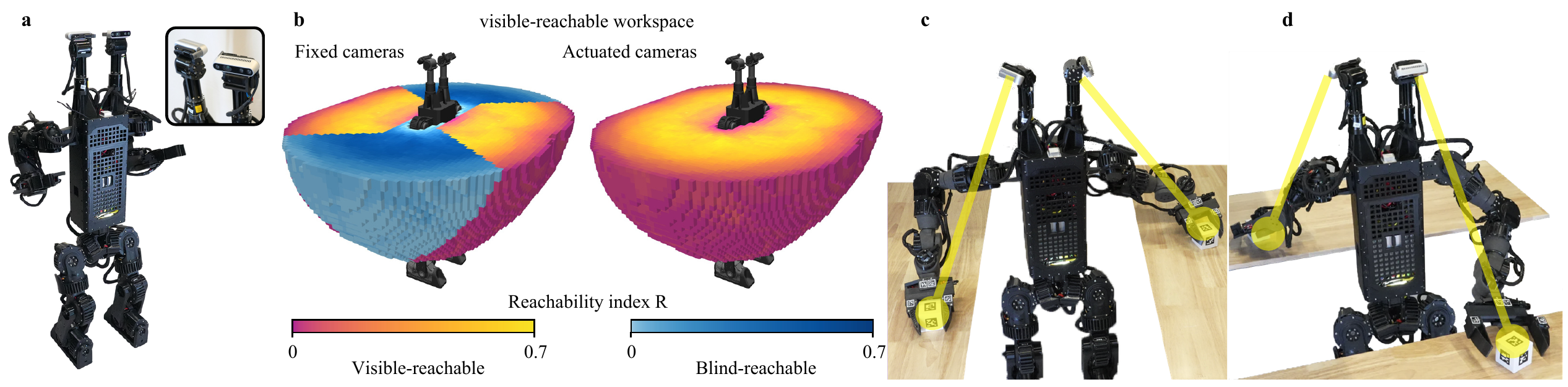 Duke Humanoid V2 in simulation and on hardware